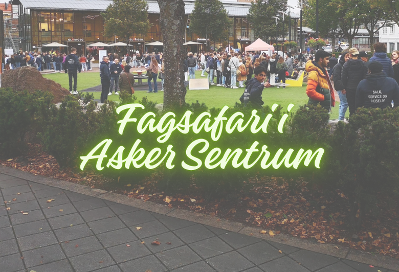Fagsafari i Asker sentrum